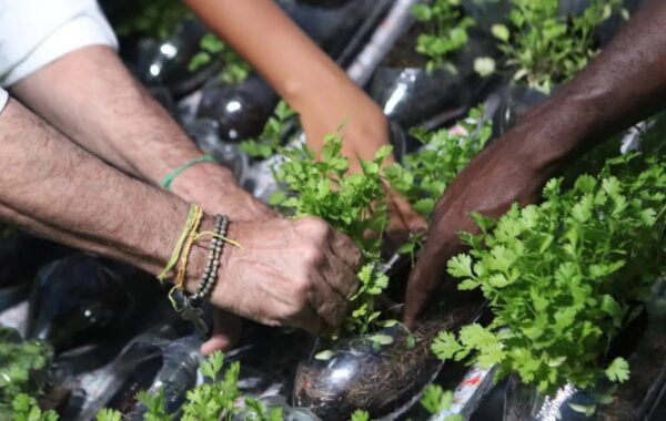 Primeira-horta-sustentavel-e-entregue-em-Feira-de-0137248600202512152138