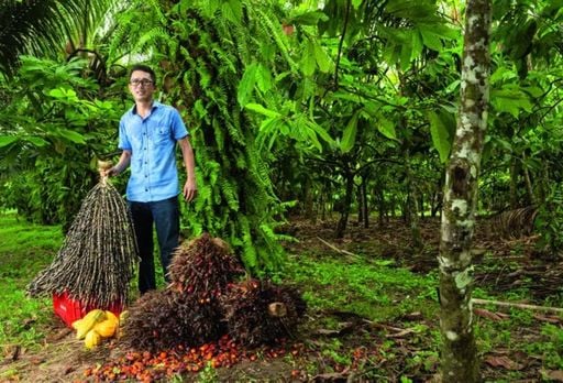 comunidade-japonesa-na-amazonia-torna-se-referencia-mundial-em-sustentabilidade-agricola-1768845616246_512