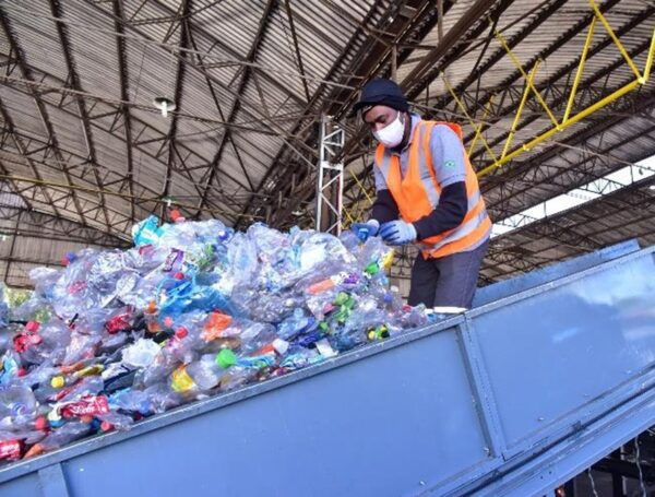 foto26emp-101-pet-b6